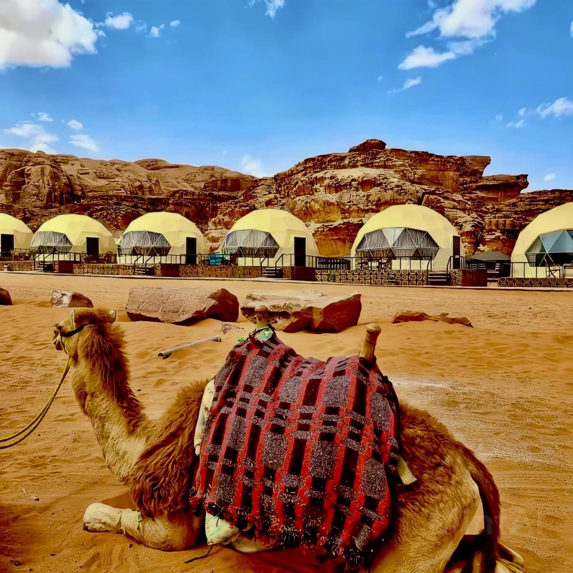 Wadi Rum Starlight Camp 호텔 외부 사진